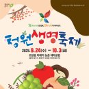 1312 Daum카페