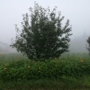 문안목장 이미지