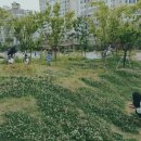 주식회사 호호호 네이버블로그