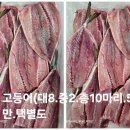 임여사수산 이미지