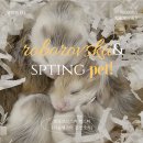 스프링 햄스터 이미지