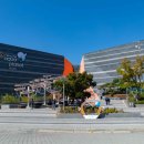 백패커스인여수 이미지