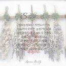 리앤나뷰티 네이버블로그