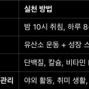 TEAM SF 총본관 이미지