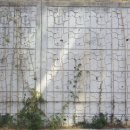 무룡초등학교 이미지