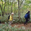 제주삼다수화성