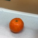 홍진마트 | 상하이2박3일 일정 경비 여행코스 추천