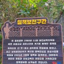 [테마2024년6월15일 토요일]동해-행복한 섬길~무릉별유천지 라벤더 트레킹 축제경유안내 이미지