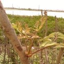 완서농장 이미지