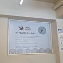 제비집손칼국수 | [2026. 04. 24] 🍜 산정호수 맛집 제비집 손칼국수 솔직후기｜육전+칼국수 조합 미쳤다🔥