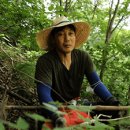 송종국 카카오 검색결과