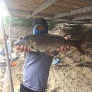 회암소류지 이미지