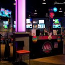 토끼게임장 이미지