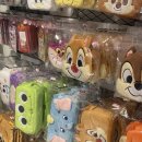 톰앤키티 네이버블로그