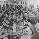 선경종합상사 이미지