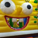 푸른나무 태권도 이미지