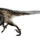 벨로시랩터 이미지