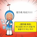 자갈치곰장어 - 동구 | 자갈치곰장어