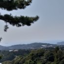 배들농장 이미지