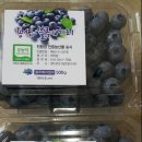 용신푸드
