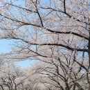 섬진강자전거길3 이미지