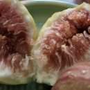 지영농장 이미지