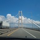 나루터횟집 | 광양 물회 맛집 나루터횟집 내돈내산후기(여수bye 광양 hi 드라이브 with 여치 🐛)