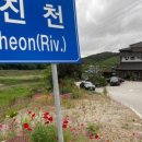 고창선운사 정금자할매풍천장어 이미지