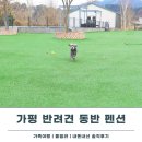 밸리 펜션 | 가평 애견동반 펜션 멍밸리 풀빌라 가족여행 내돈내산 후기