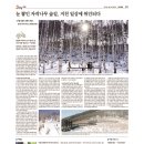 진동너와촌해마루펜션 | [강원도] 인제 원대리 자작나무 숲 &amp; 겨울 곰배령 트레킹 [일상탈출 2016-01-21]