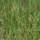 제주하늘지기 이미지