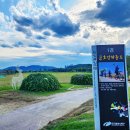 봄날-산책 이미지