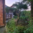 물레방아민박 이미지