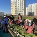 수원시 권선구 텃밭 수원시민신문