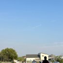 토레스트 이미지