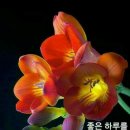 멋진 하루 이미지