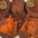 현대썬앤빌 동해파크힐 이미지