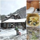 [강원도 여행] 계곡 있어 가족여행으로 딱 좋은 정선 도원펜션&amp;캠핑장