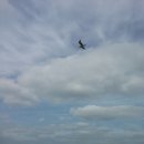 정든세탁소 이미지