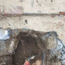 도봉-도봉-서울도봉-2385 이미지