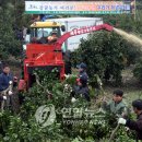 신효동-31 연합뉴스
