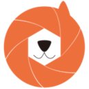 도그조아 이미지