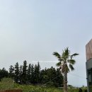 파우제419펜션
