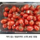 방울토마토 보관법 간단해요 이미지