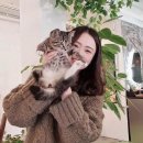 더오딘베이커리카페 이미지