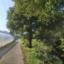 대야보건진료소 화장실 이미지