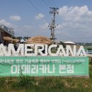 (주)아메리카나 이미지