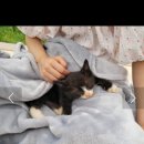 별립산농장 이미지