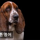 써튼영어학원