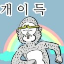 메이즈 뮤지움 네이버블로그